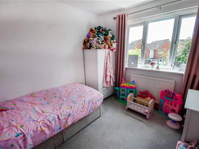 Picture 20